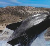 Argentina Patagonia la Terra del Fuoco